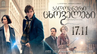 Fantastic Beasts and Where to Find Them