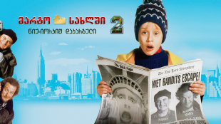 Home Alone 2: Lost in New York