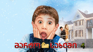 Home Alone 4: Taking Back the House