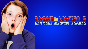 Home Alone: The Holiday Heist