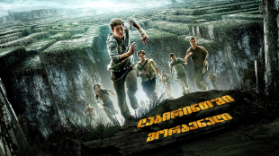 The Maze Runner